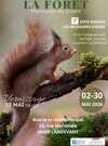 Exposition : "La forêt, murmures du vivant" 