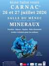 2026 salon mineraux_CARNAC