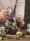 lacto fermentation