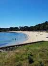 plage men er beleg