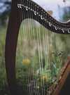 harpe