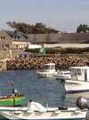 lechat odette - st pierre quiberon, morbihan, bretagne sud