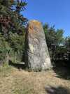 Image (5)