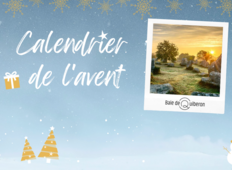 Calendario dell'Avvento 2020