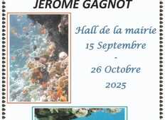 Exposition de photographies sous-marines