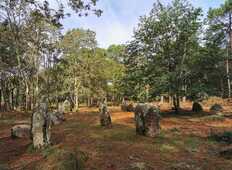 Bois du Varquez, Erdeven