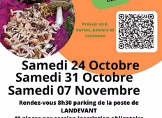 Affiche balade champignons