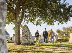 alignements-menhirs-kerzerho-erdeven © Alexandre Lamoureux (2)_792x528
