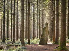 alamoureux_MG_1947_1224x816