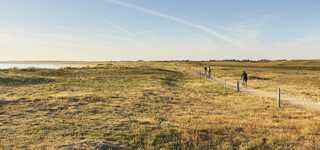 Grand site de France: le dune selvagge da Gâvres a Quiberon