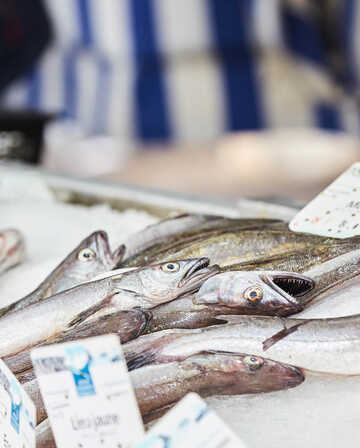 Marché aux poissons