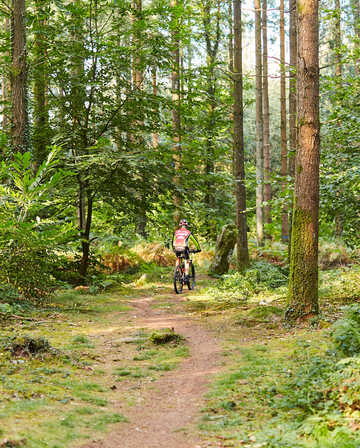 Randonnée à vélo à Camors