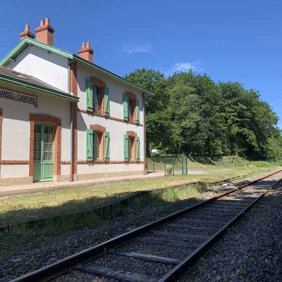 Train