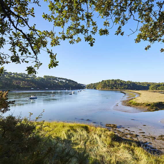 Rivière d'Auray