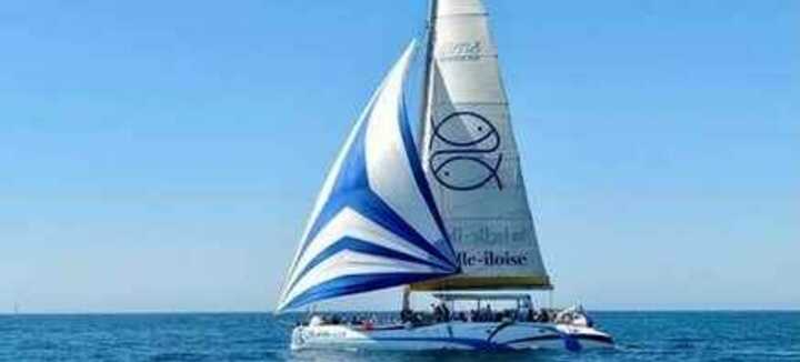 Iliens, la navetta che salpa Iliens, la navetta che salpa