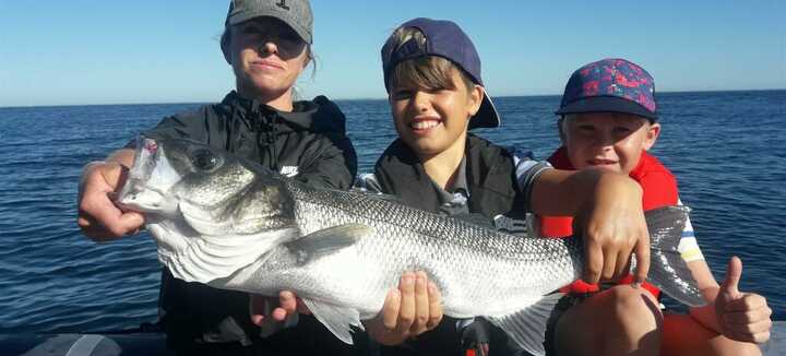Quiberon Fishing Quiberon Fishing