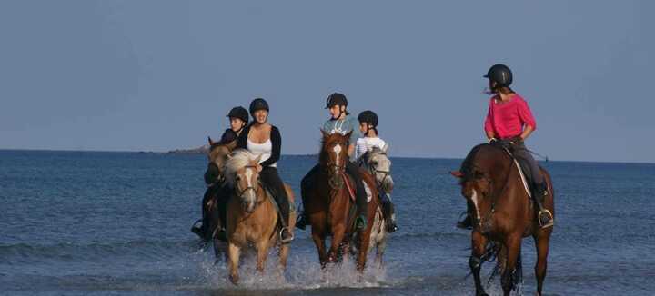 Erdeven Equitation - Centre équestre Poney Club