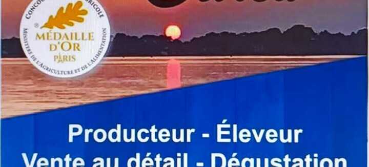 Allevatore di ostriche - Breizh Izel Ostréa Allevatore di ostriche - Breizh Izel Ostréa