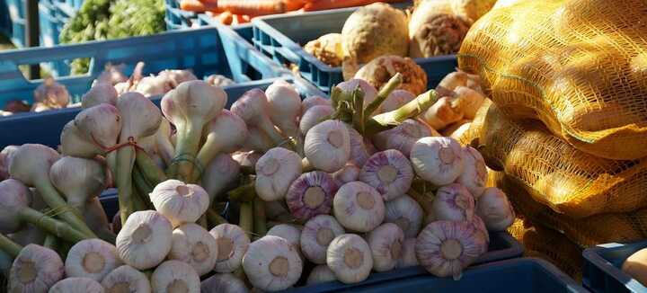 Marché hebdomadaire à Belz