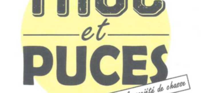 Troc et puces