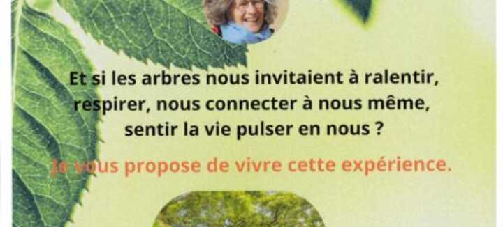 Par la grâce des arbres Par la grâce des arbres