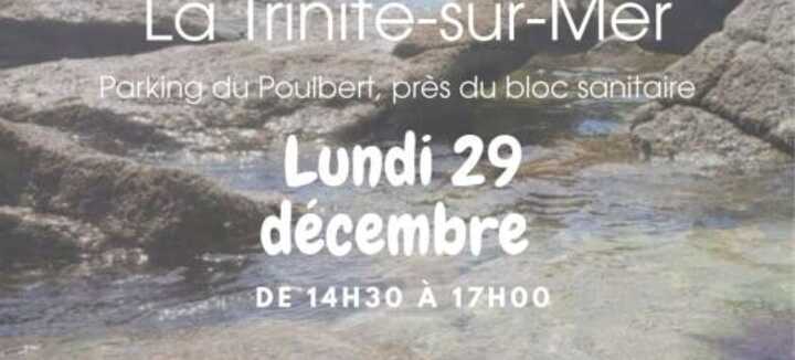 Sortie nature : Découverte de l'estran : les petits animaux du bord de mer