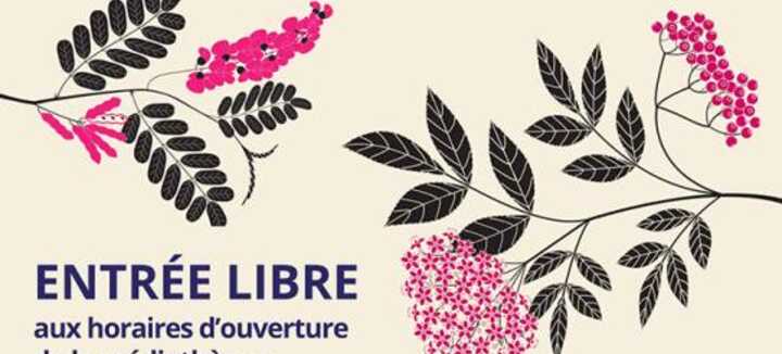 Expo – L’herbier d’Emilie Vast