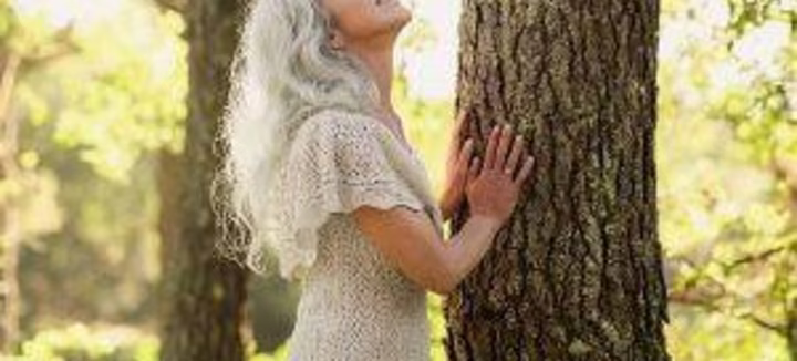 La phytothérapie, l’alliée précieuse des femmes pour mieux vivre la pré-ménopause et la ménopause au naturel