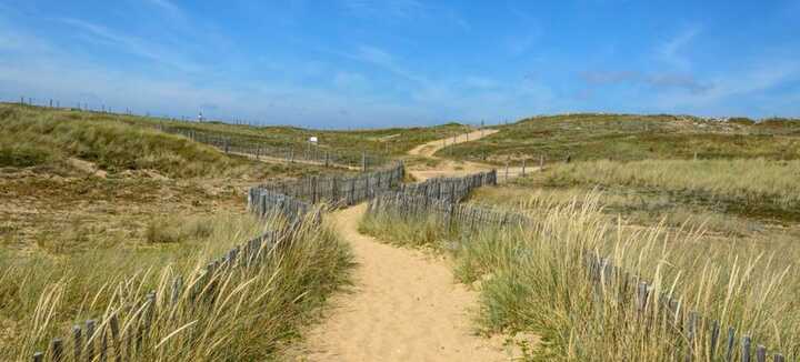 Passeggiata nella natura: Scoperta delle dune di Erdeven