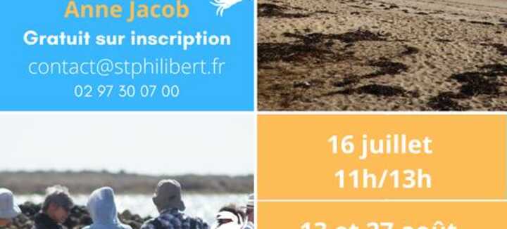Pesca a terra e scoperta del litorale Pesca a terra e scoperta del litorale