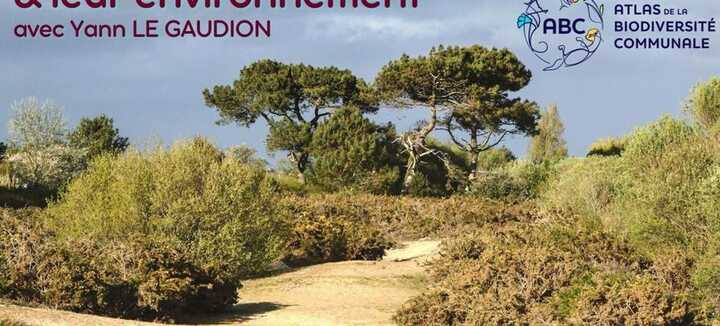Output Piante delle Dune e loro Ambiente Output Piante delle Dune e loro Ambiente
