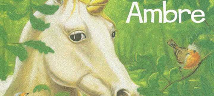 Racconto a kamishibai: Amber l'unicorno