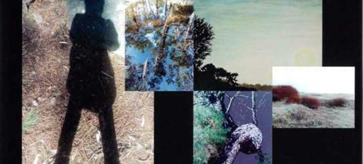Chiamami il tuo Haiku - mostra Chiamami il tuo Haiku - mostra