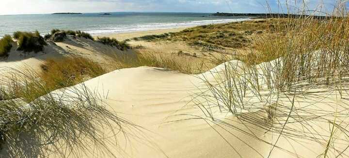 Osservazione degli uccelli svernanti dalla Barre d'Etel alle dune di Kerminihy Osservazione degli uccelli svernanti dalla Barre d'Etel alle dune di Kerminihy