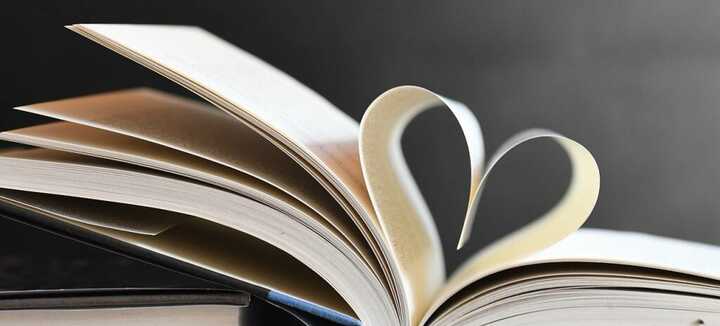 Braderie aux Livres