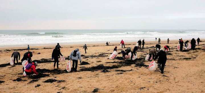 Nettoyage de Plage à Penthièvre