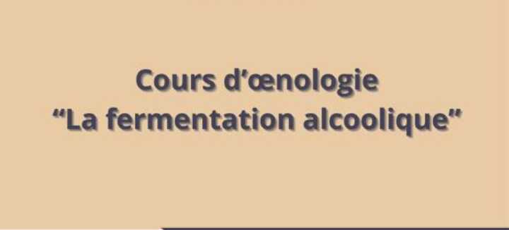 Cours d'oenologie "la fermentation alcoolique" Cours d'oenologie "la fermentation alcoolique"