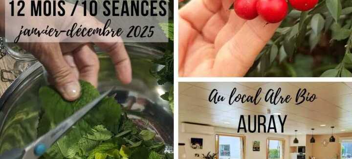Formation phytothérapie 12 mois - 10 séances à Auray Formation phytothérapie 12 mois - 10 séances à Auray