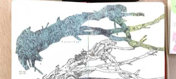Atelier Gravure +12 ans Atelier Gravure +12 ans