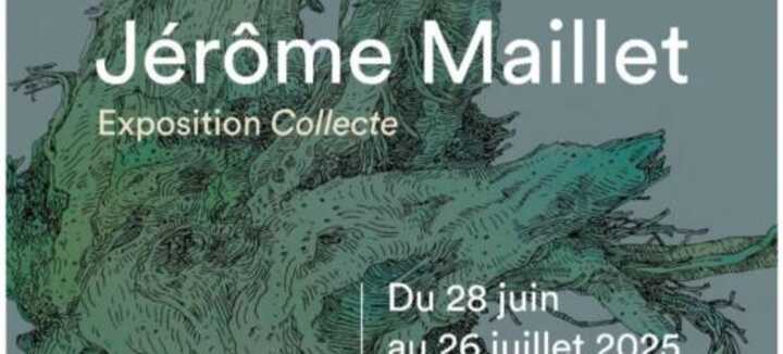 Exposition "Collecte" - Jérôme Maillet Exposition "Collecte" - Jérôme Maillet