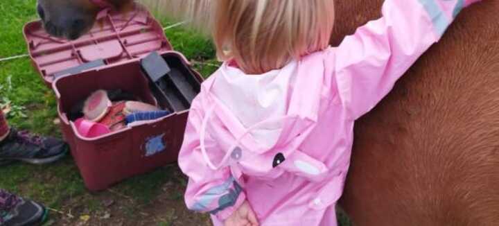 Balade à poney ou grand poney