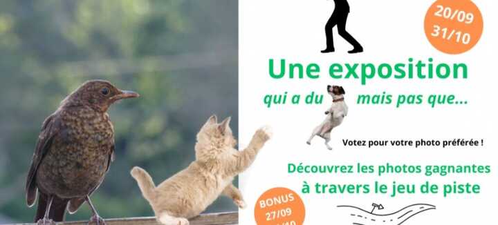 Objectif photo animalière