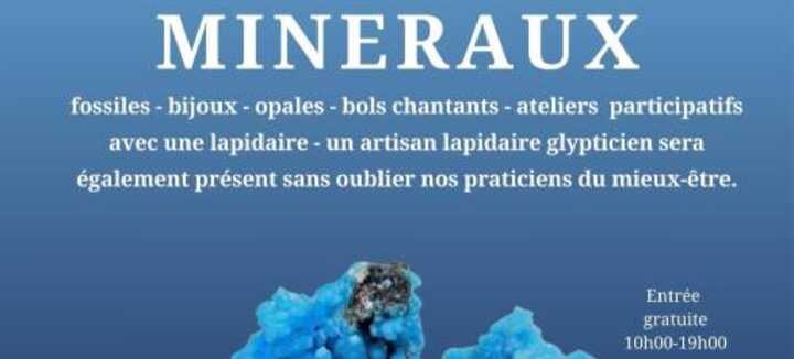 Salon des Minéraux