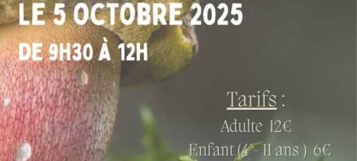 Sortie découverte des champignons
