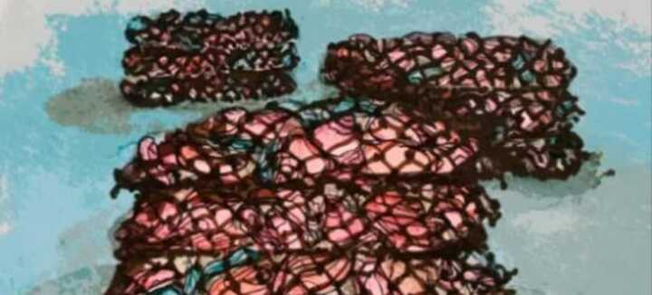 Exposition " Atchitectures sentinelles " de Florence Wuillai