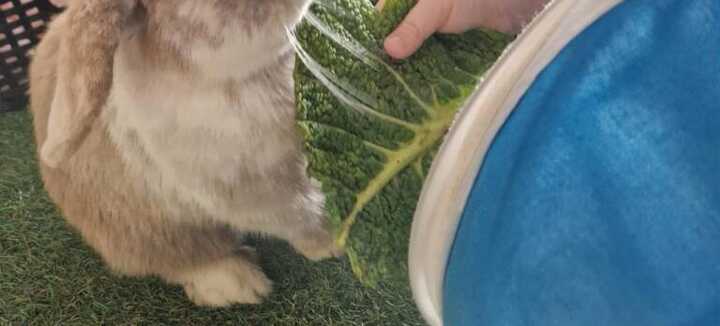 Atelier découverte sensorielle