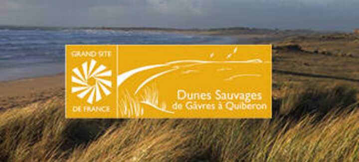 Balade à la rencontre des oiseaux de Portivy et de Penthièvre