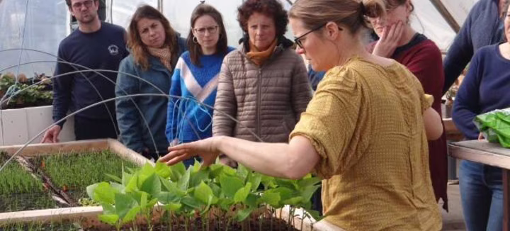 Cycle d’ateliers jardin potager