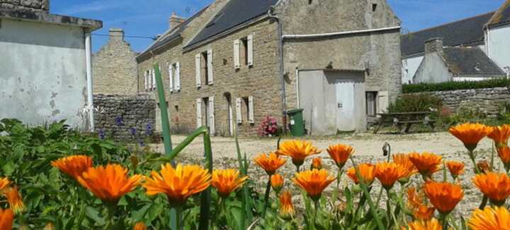 LOFFICIAL Pierrick - Pilo Duplex LOFFICIAL Pierrick - Pilo Duplex
