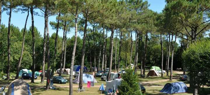 Campeggio naturista CNBS La Pinède